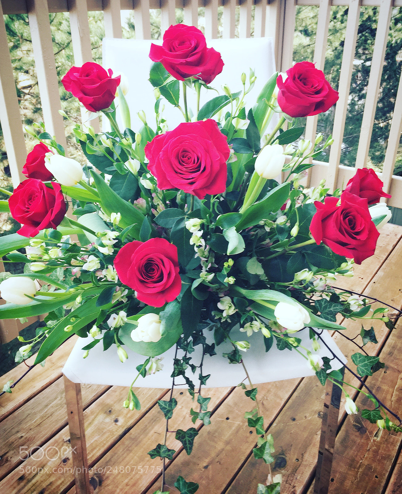 Apple iPhone 6 sample photo. Roses ? photography