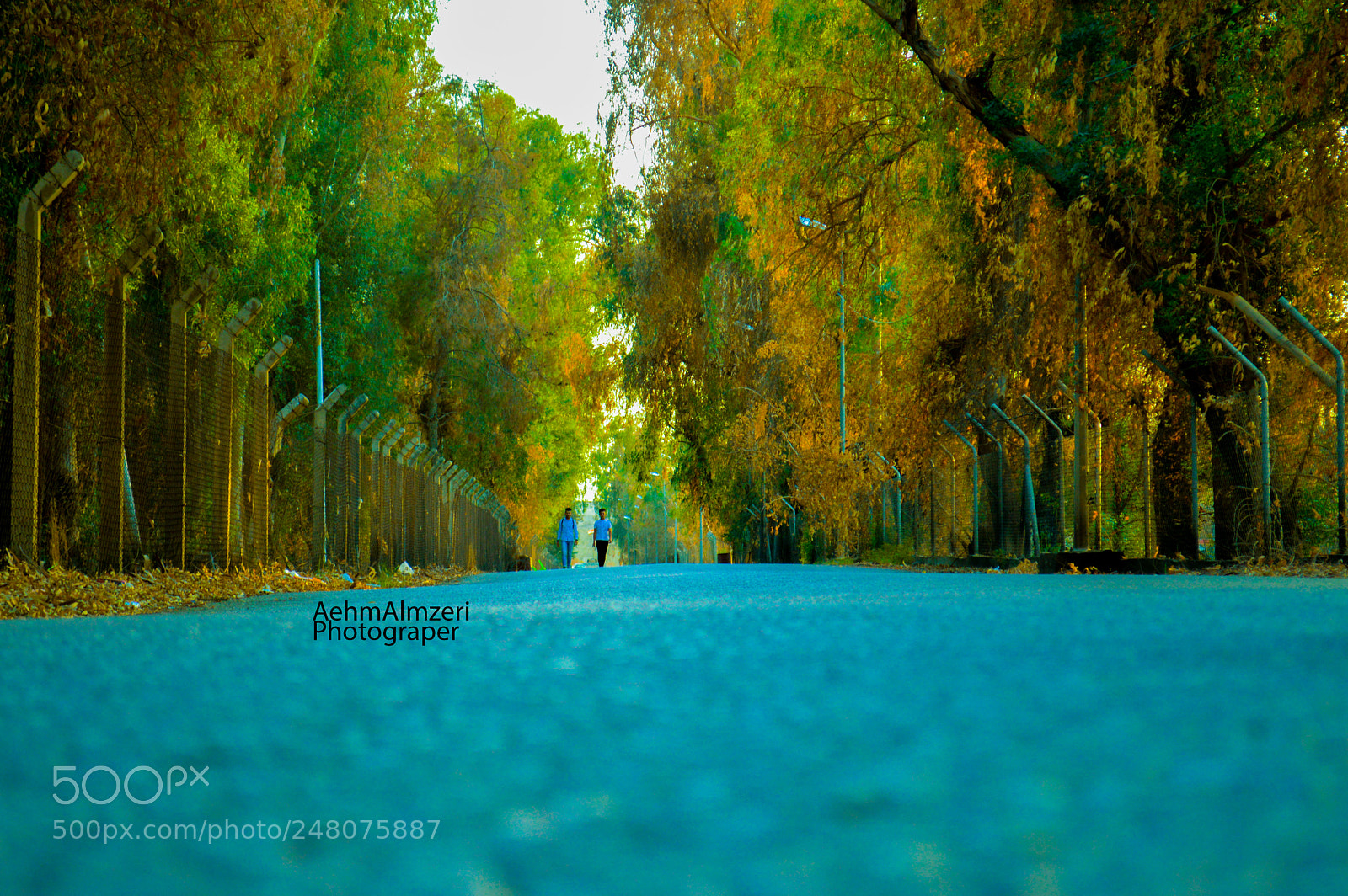 Nikon D3200 sample photo. Untitled photography