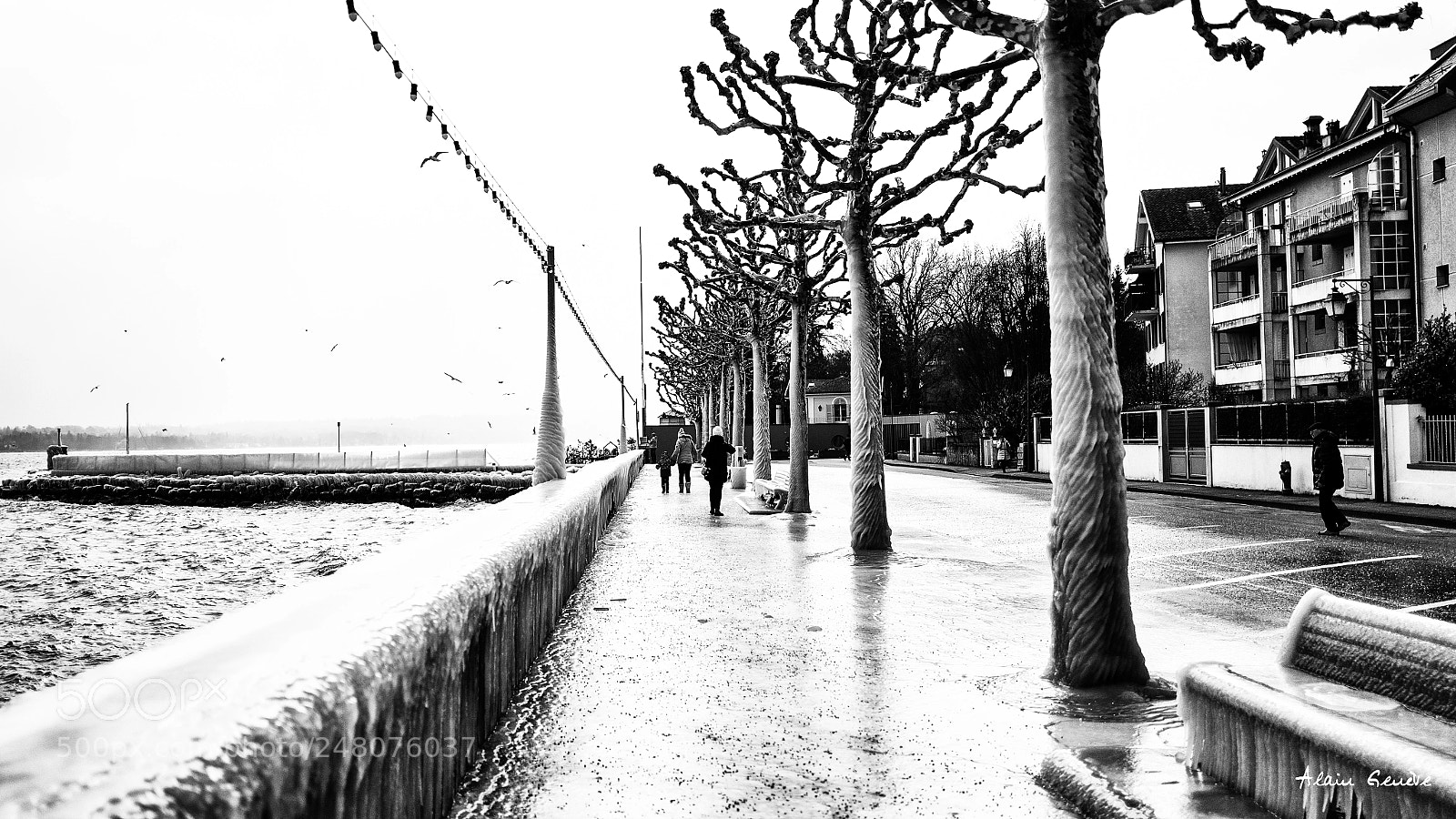 Leica Q (Typ 116) sample photo. Versoix photography