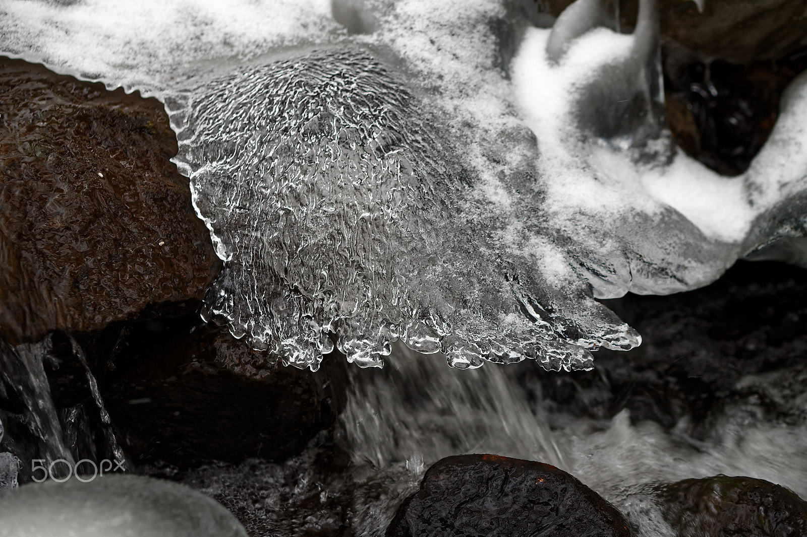 Canon EF 100mm F2.8L Macro IS USM sample photo. Frozen collection photography