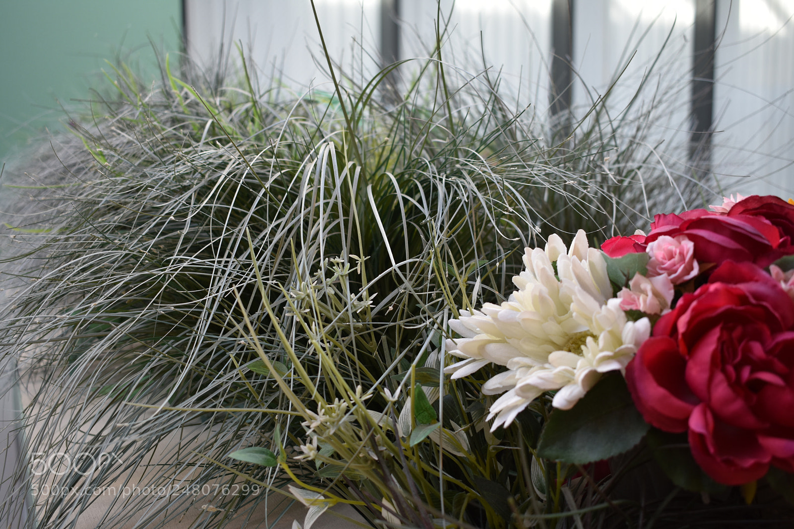 Nikon D3400 sample photo. Dsc photography