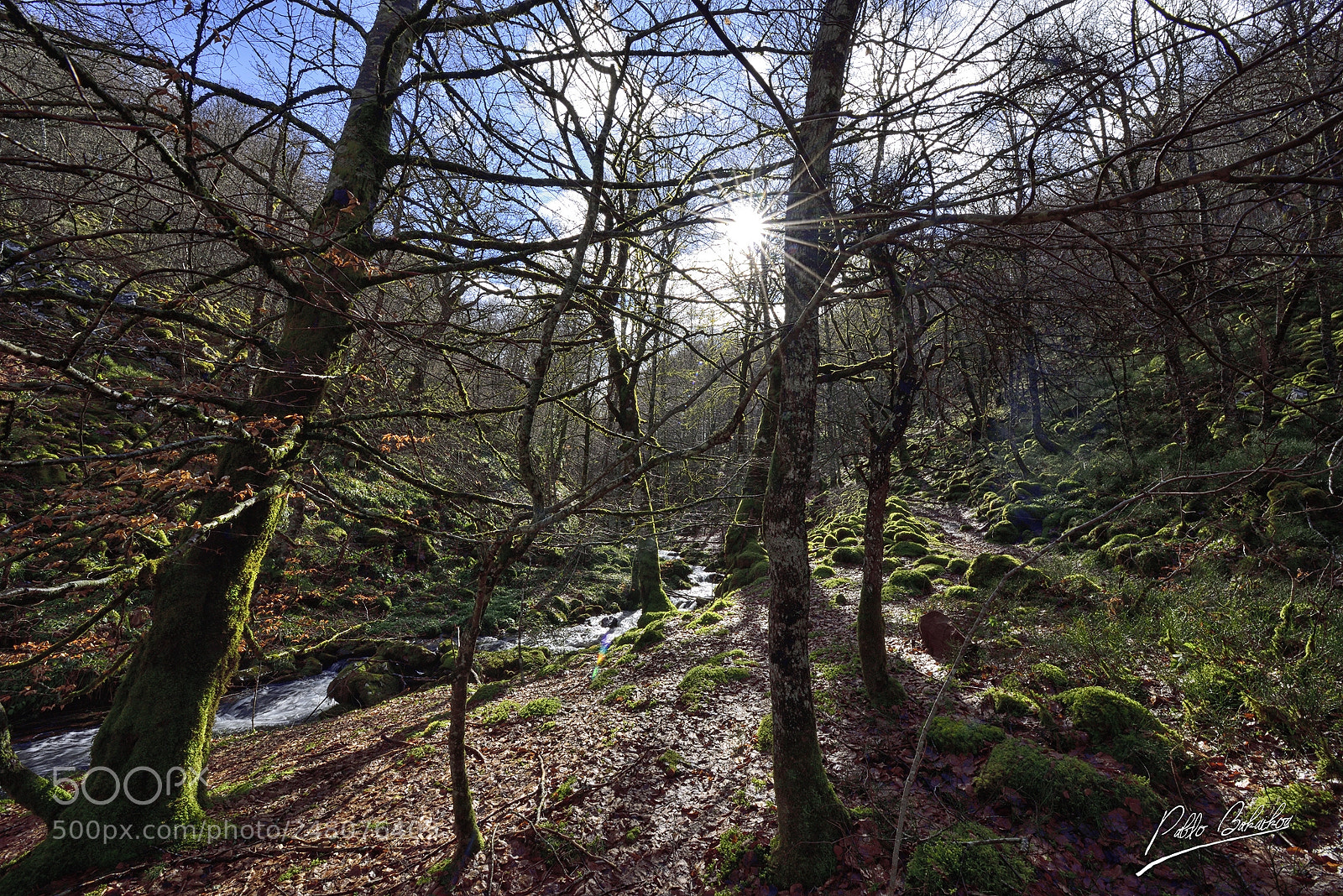 Nikon D810 sample photo. Cascada irurrekaeta photography