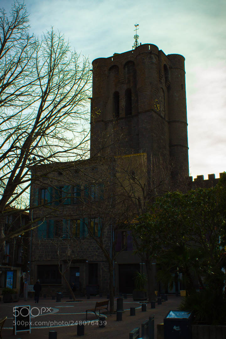 Canon EOS 600D (Rebel EOS T3i / EOS Kiss X5) sample photo. Cath drale saint-etienne in photography