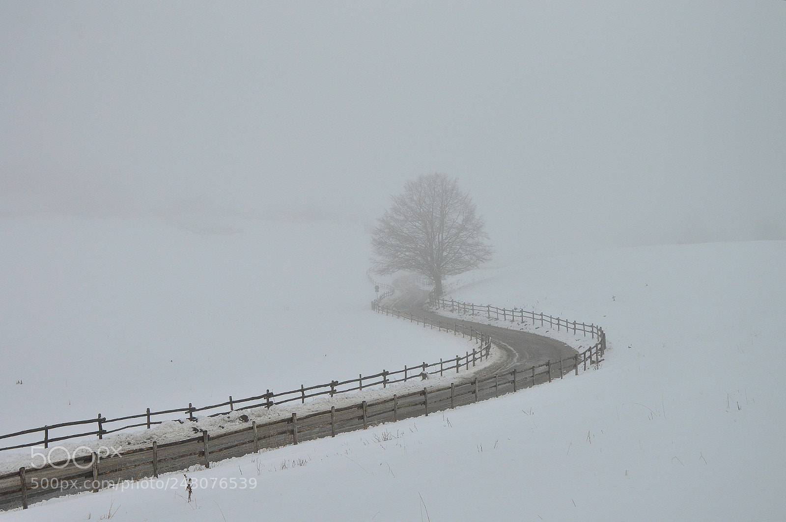 Nikon D3200 sample photo. La strada di col photography