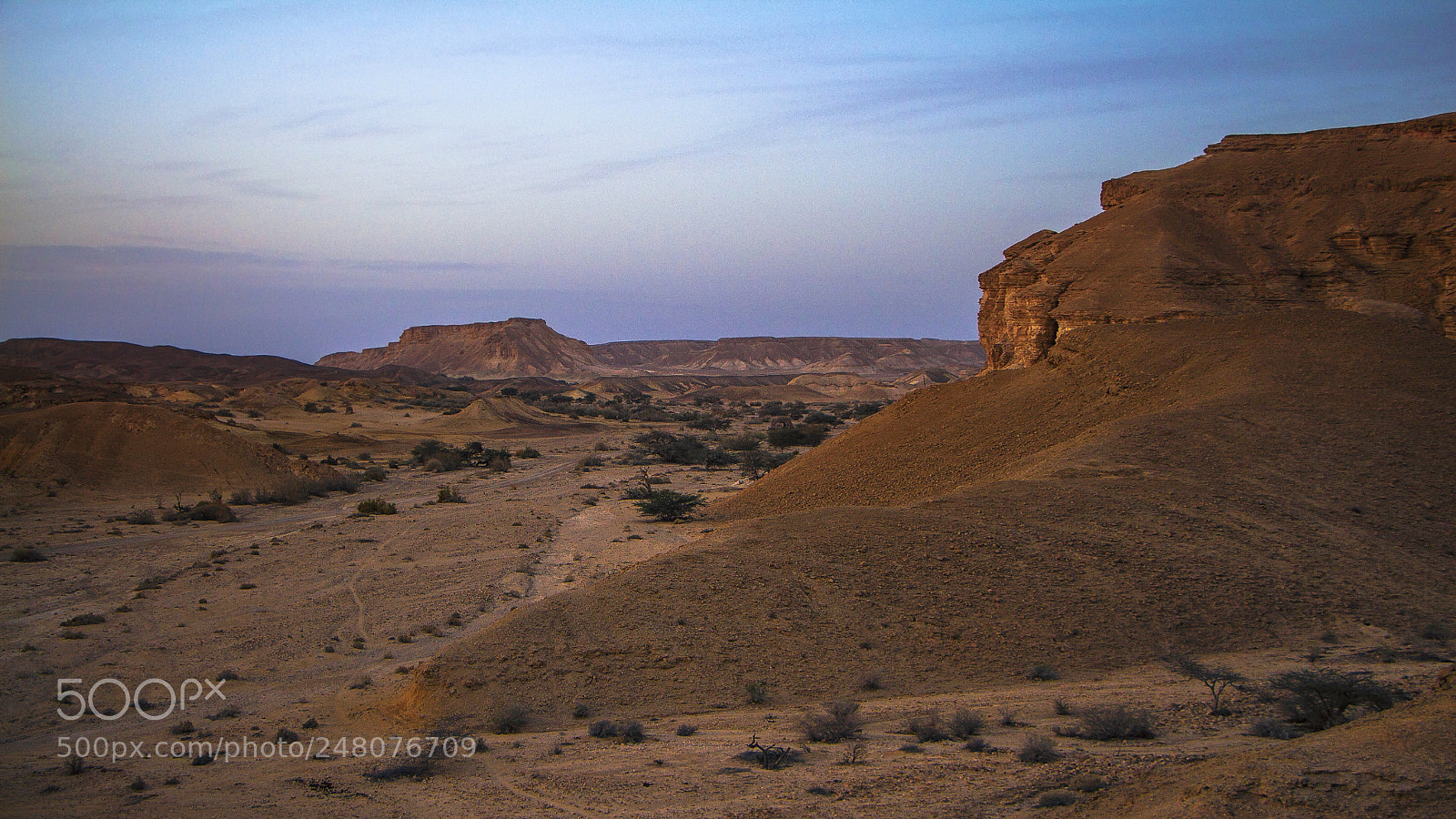 Canon EOS 650D (EOS Rebel T4i / EOS Kiss X6i) sample photo. Arava photography