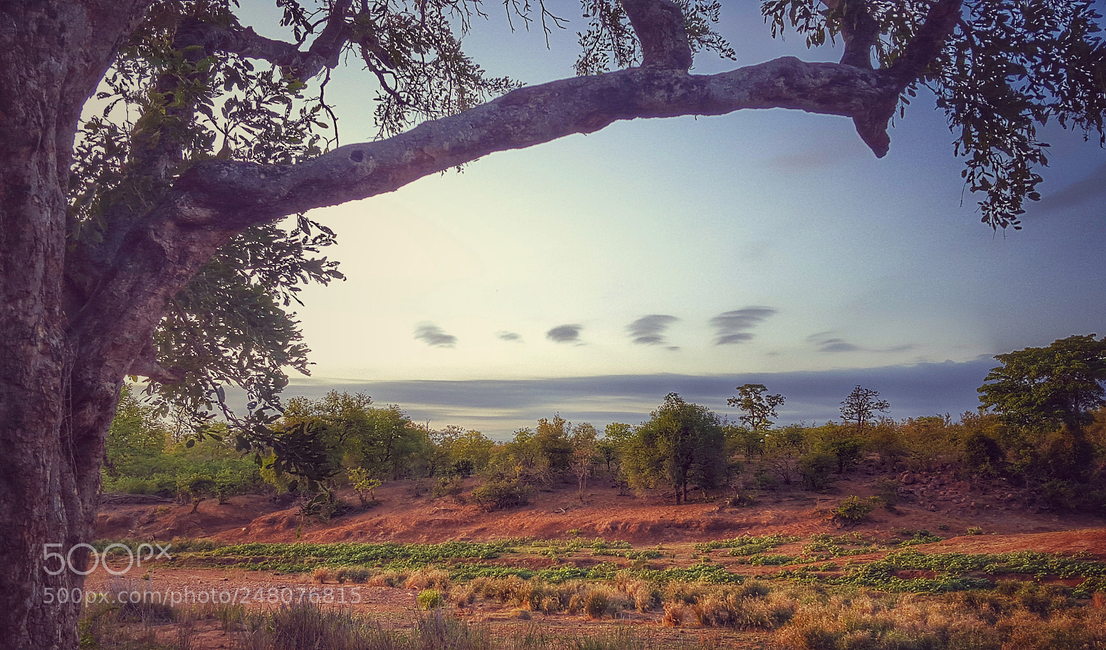 Samsung Galaxy S6 sample photo. Africa photography