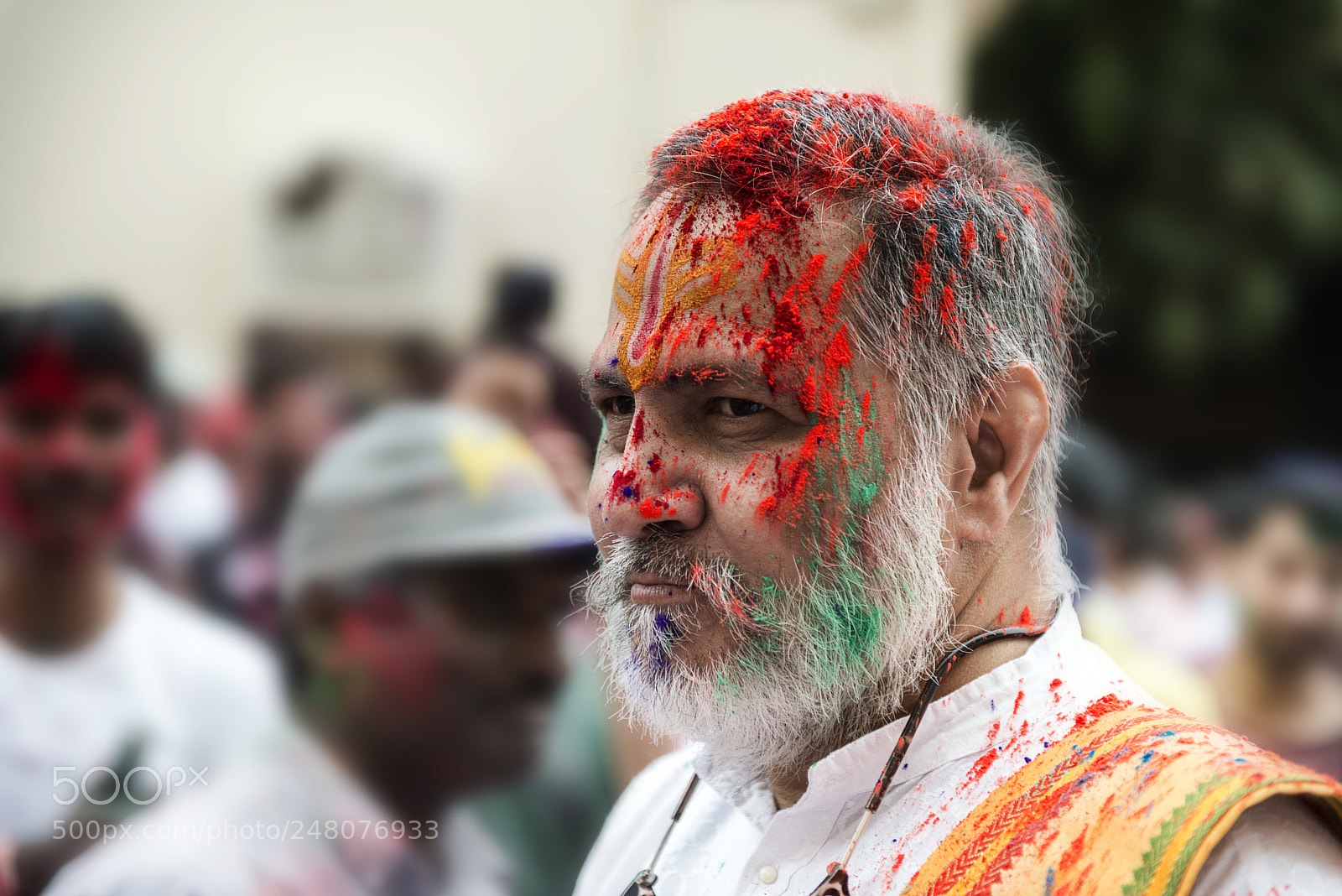 Nikon D800E sample photo. Holi photography