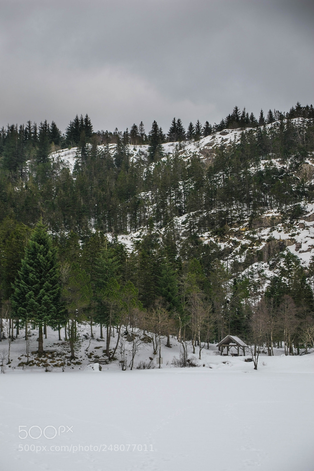 Nikon D5300 sample photo. Frozen lake photography