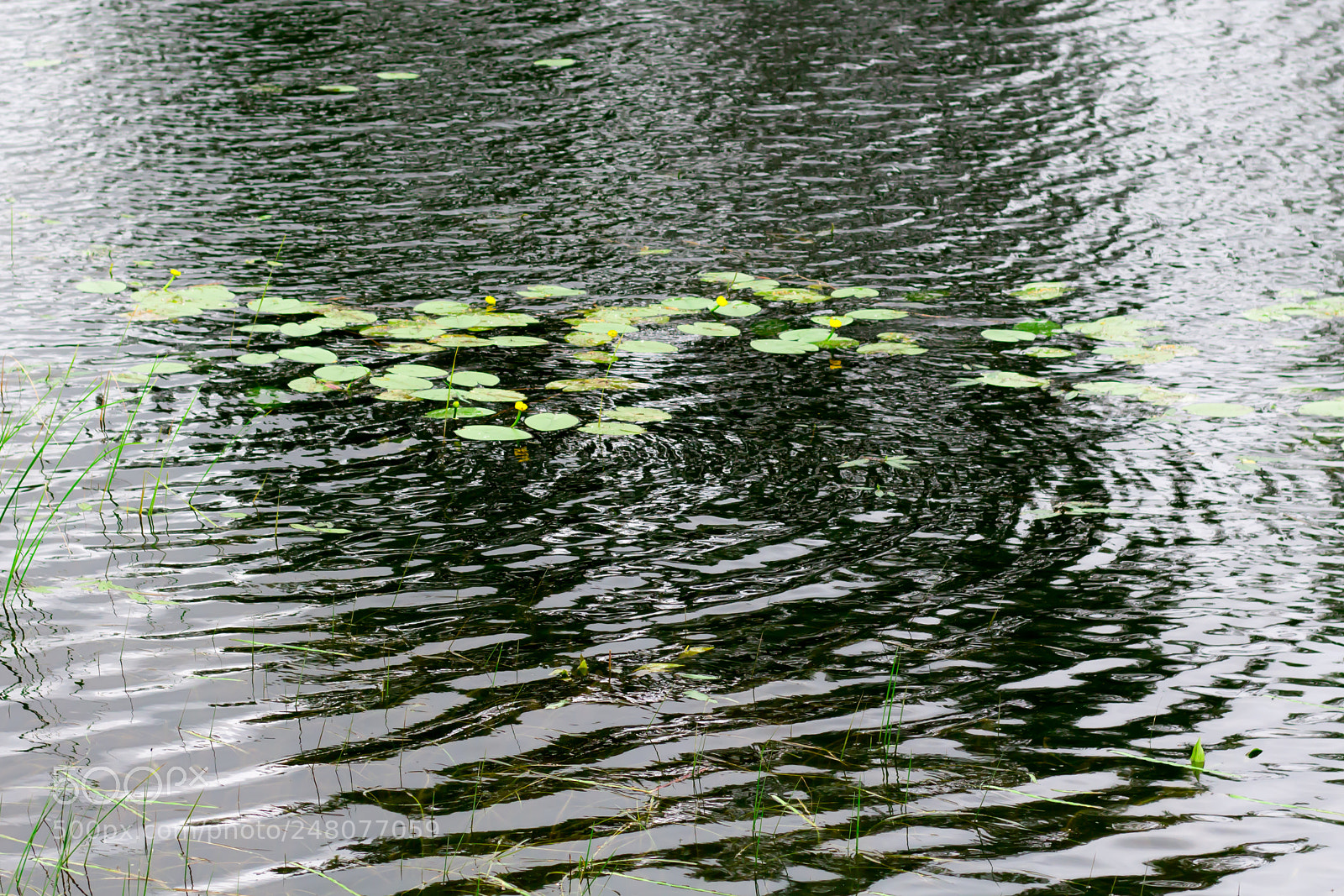 Canon EOS 700D (EOS Rebel T5i / EOS Kiss X7i) sample photo. Water photography