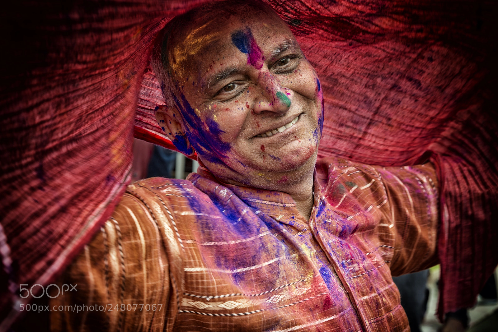 Nikon D800E sample photo. Holi photography