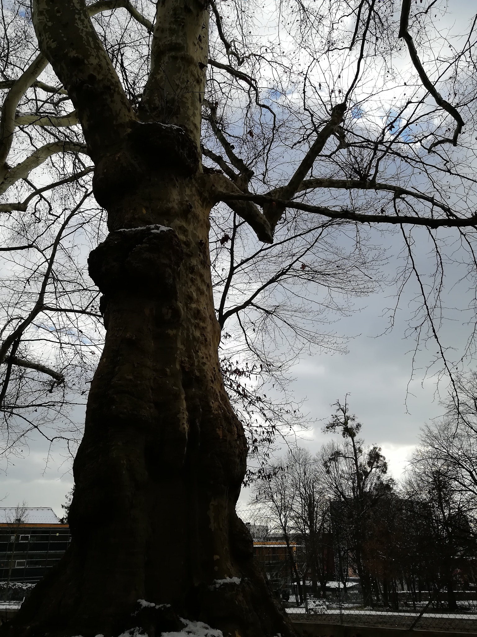 HUAWEI nova 2 Plus sample photo