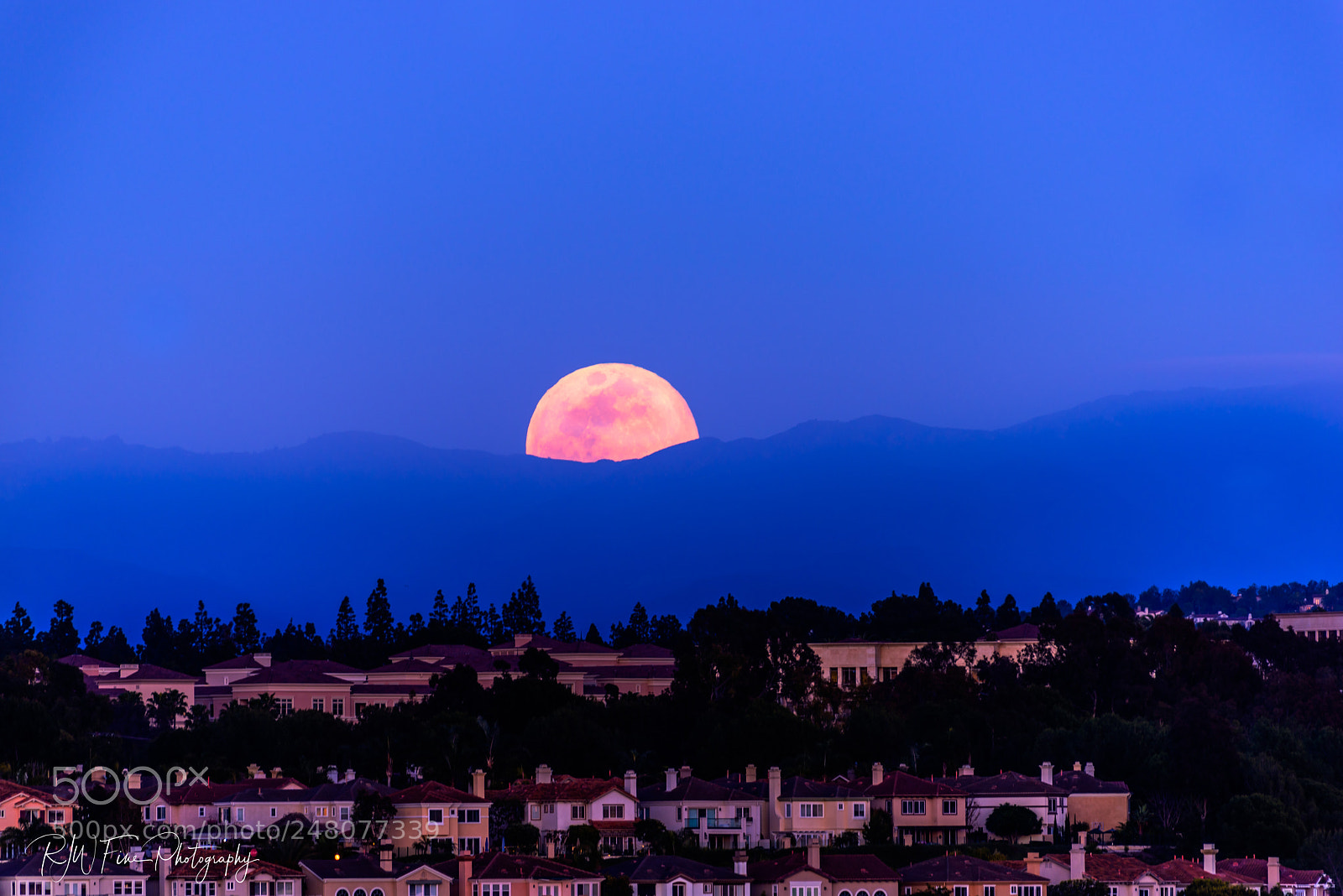 Nikon D810 sample photo. Full moon rising photography