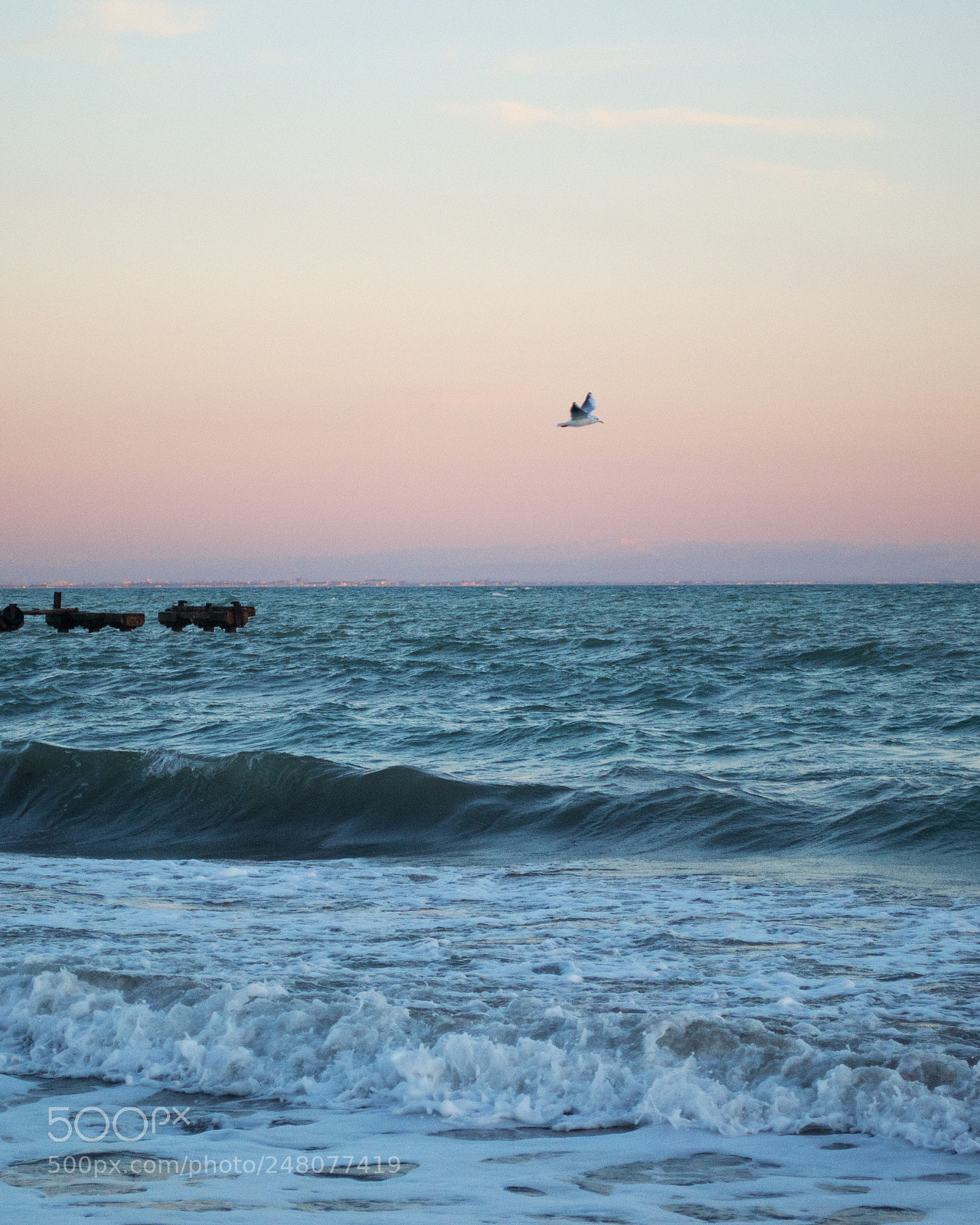 Nikon D3100 sample photo. Untitled photography
