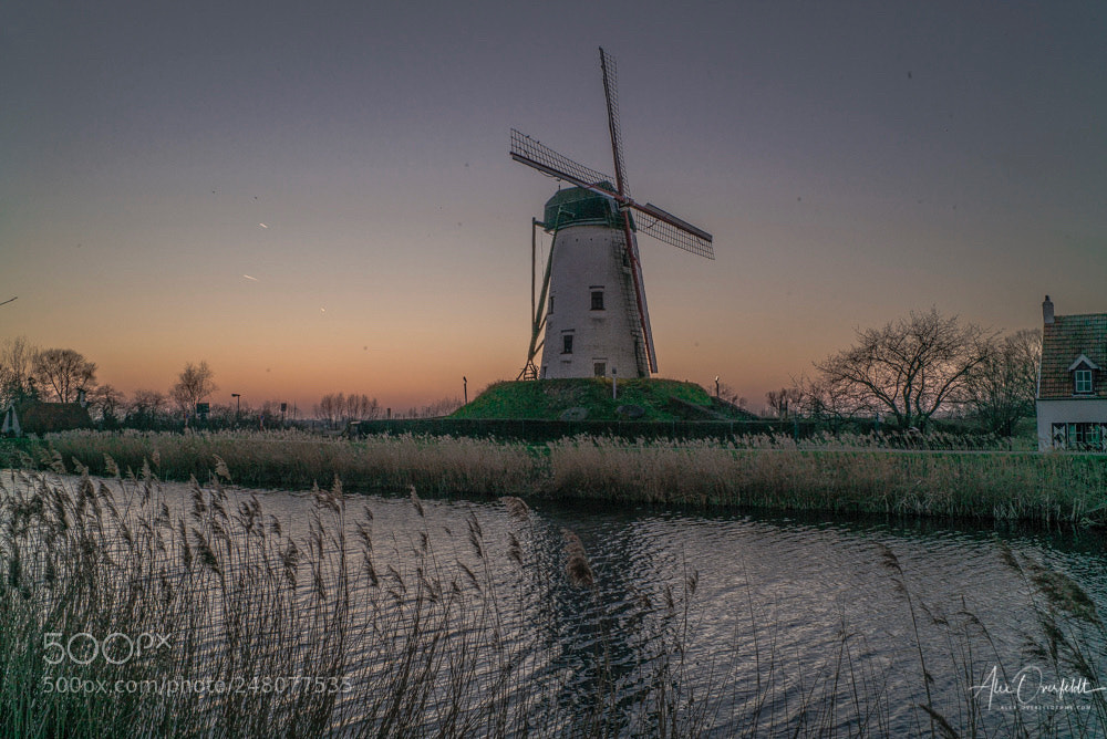 Leica M (Typ 240) sample photo. Winter sunset alongside the photography