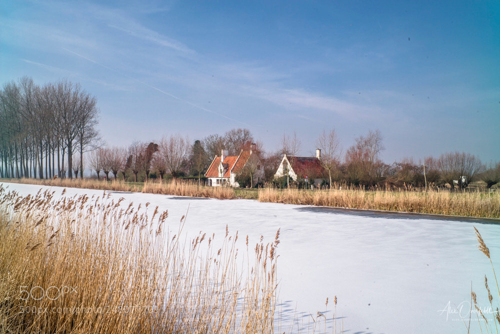 Leica M (Typ 240) sample photo. Winter landscape on a photography