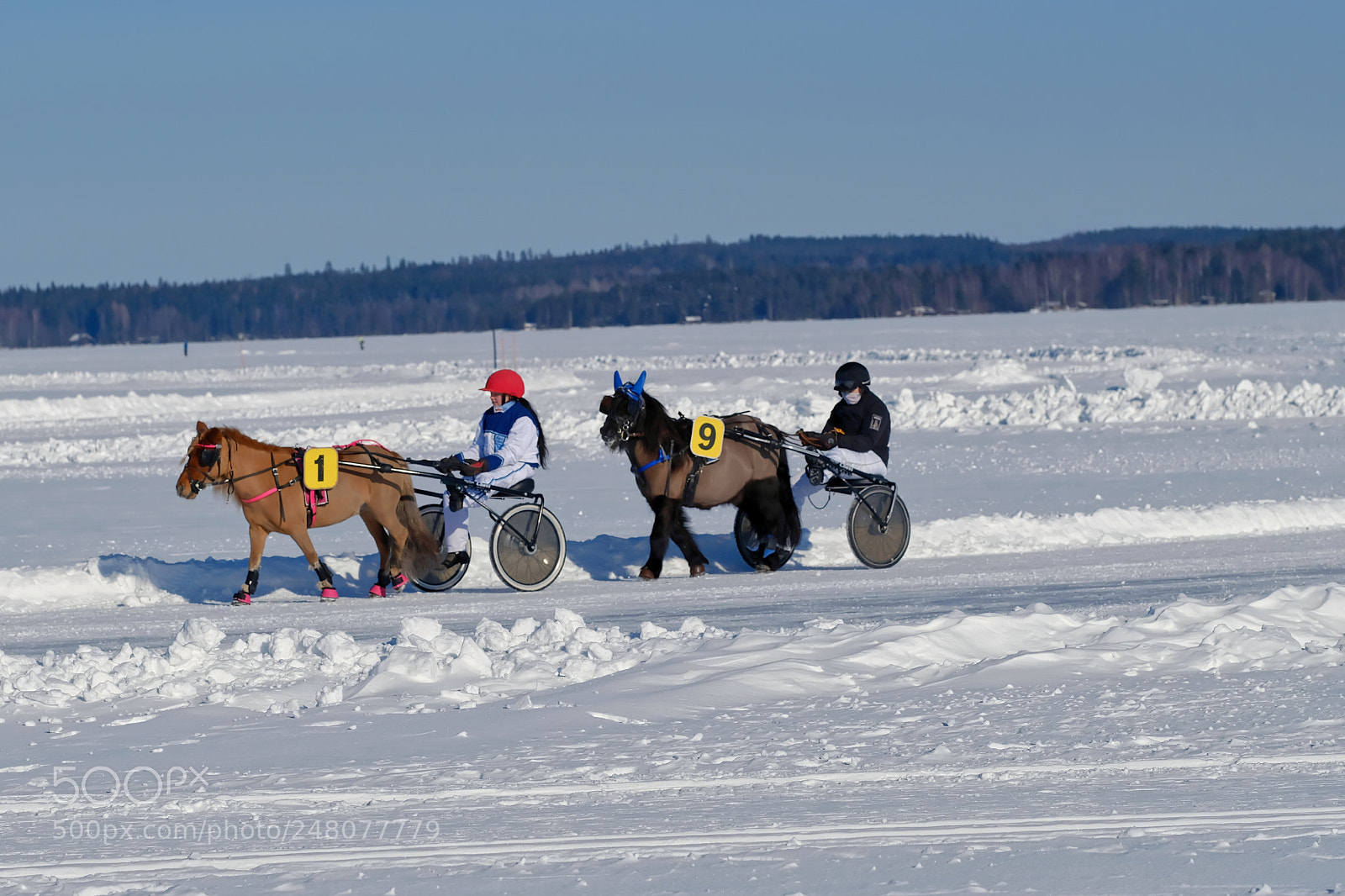 Fujifilm X-T2 sample photo. Horse race on the photography