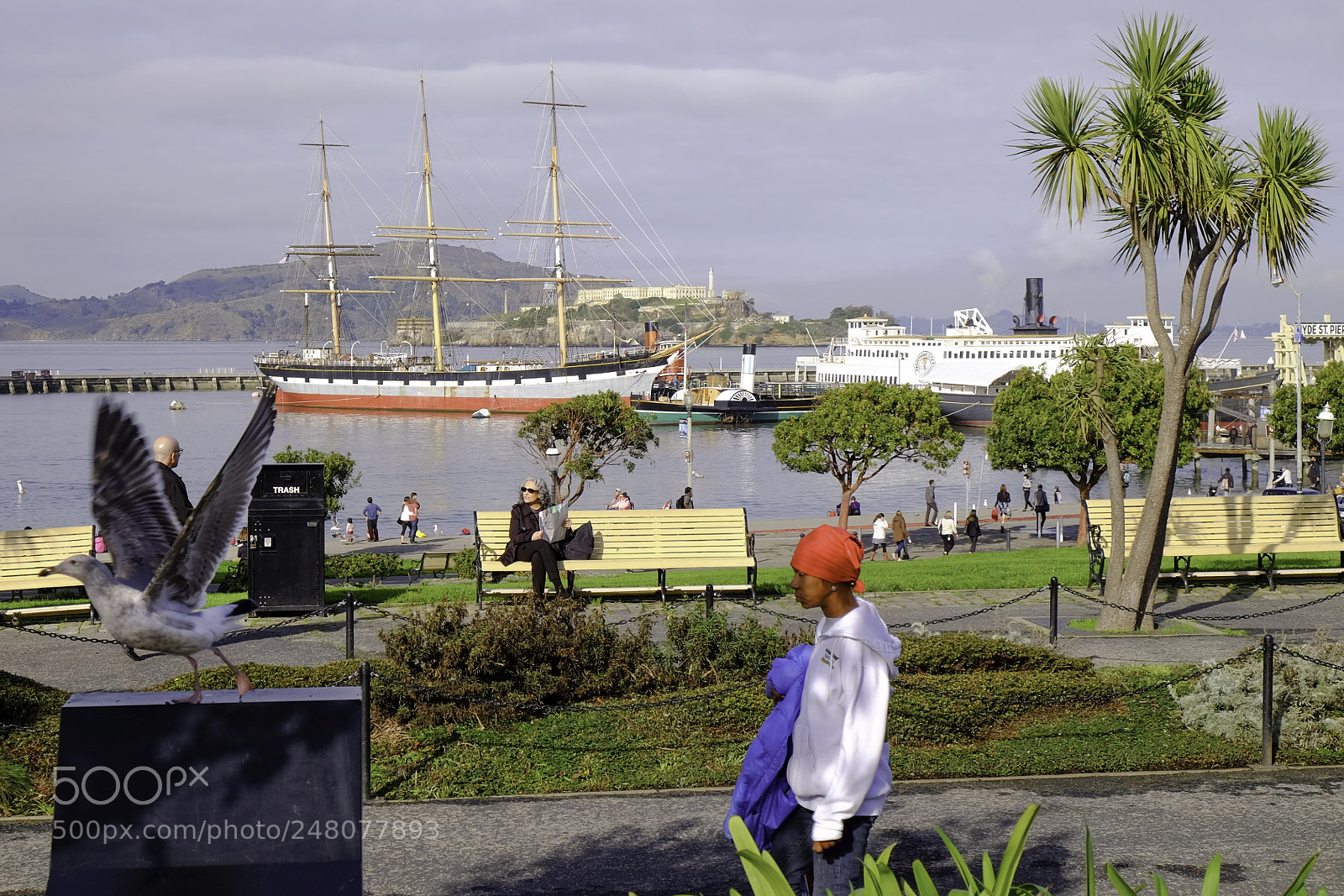 Fujifilm X-T1 sample photo. Oohps i am out photography