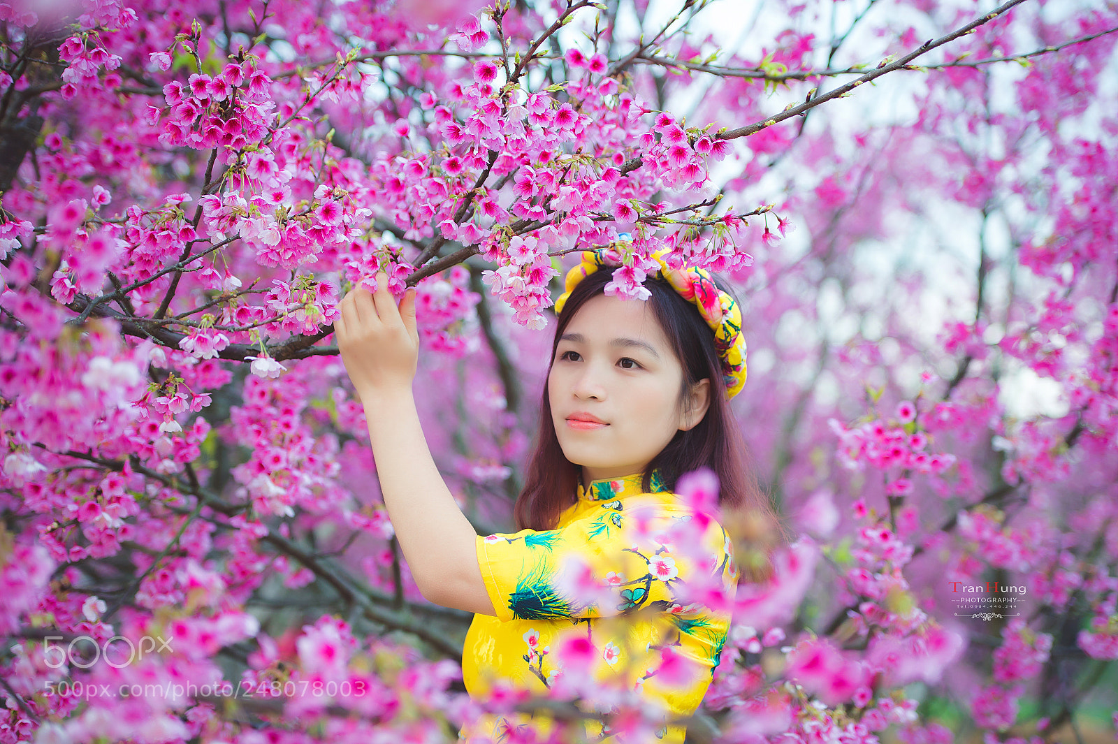 Nikon D4S sample photo. Tvh photography