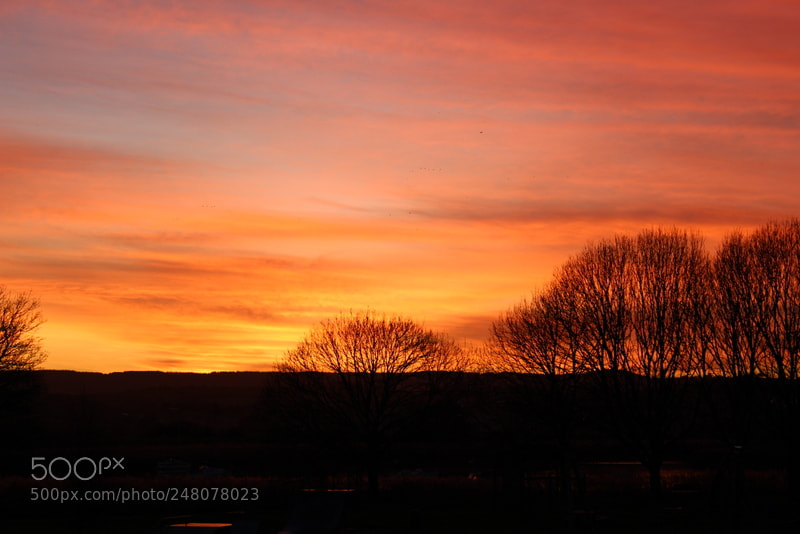 Canon EOS 700D (EOS Rebel T5i / EOS Kiss X7i) sample photo. Sunset topsham devon photography