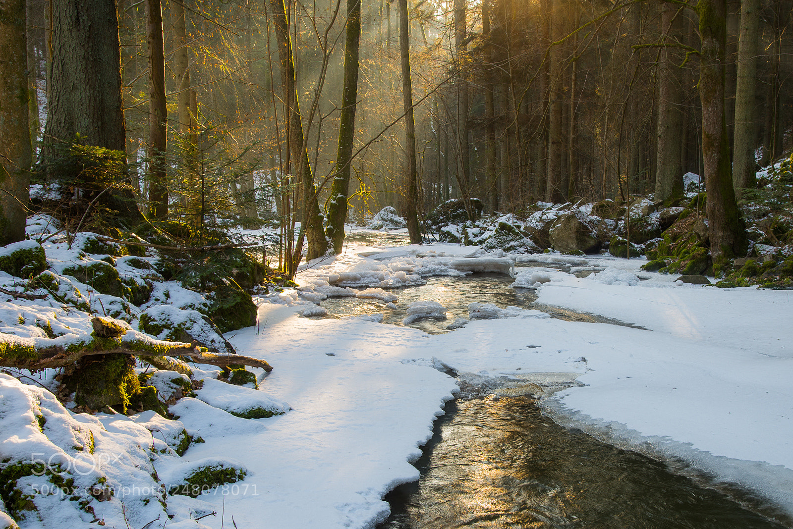 Nikon D610 sample photo. Otterbach photography
