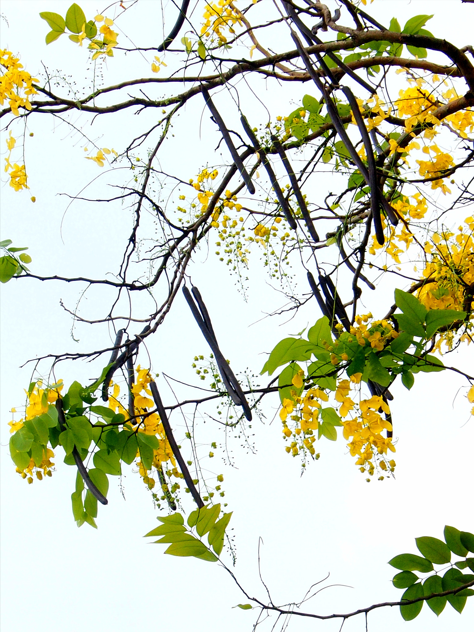 Olympus PEN E-P3 sample photo