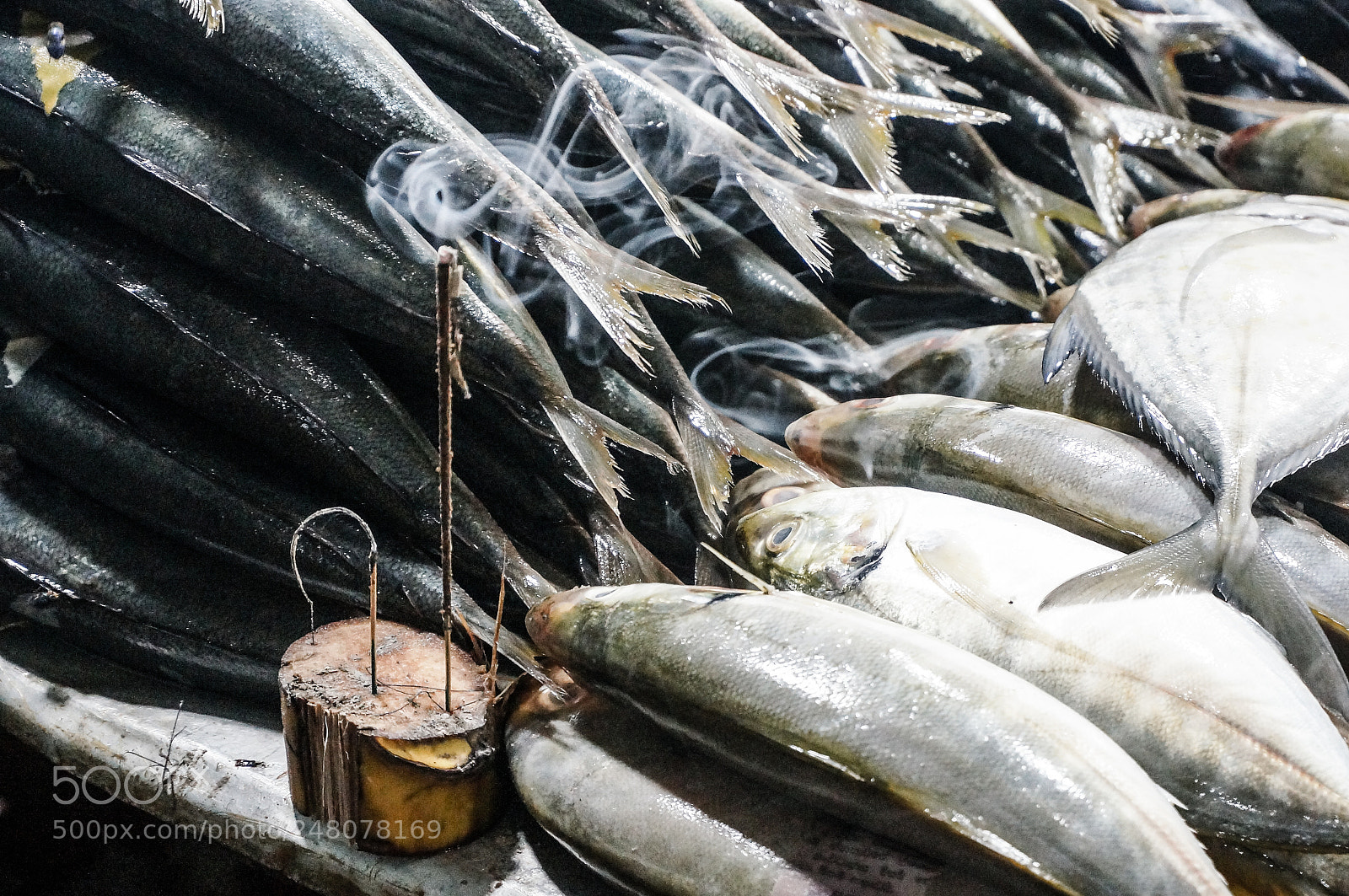 Sony Alpha NEX-5T sample photo. Fish + incense photography
