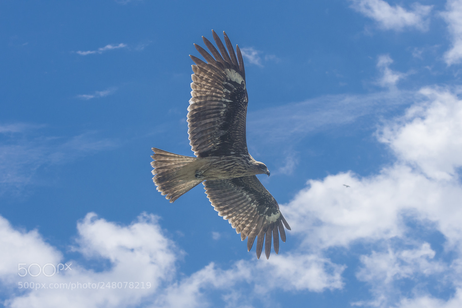 Nikon D7200 sample photo. Dtm photography