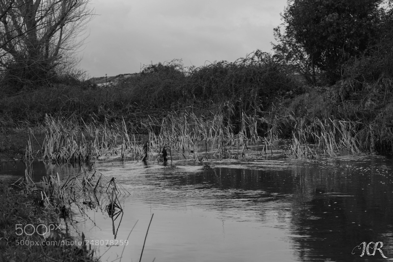 Nikon D5200 sample photo. Rio photography