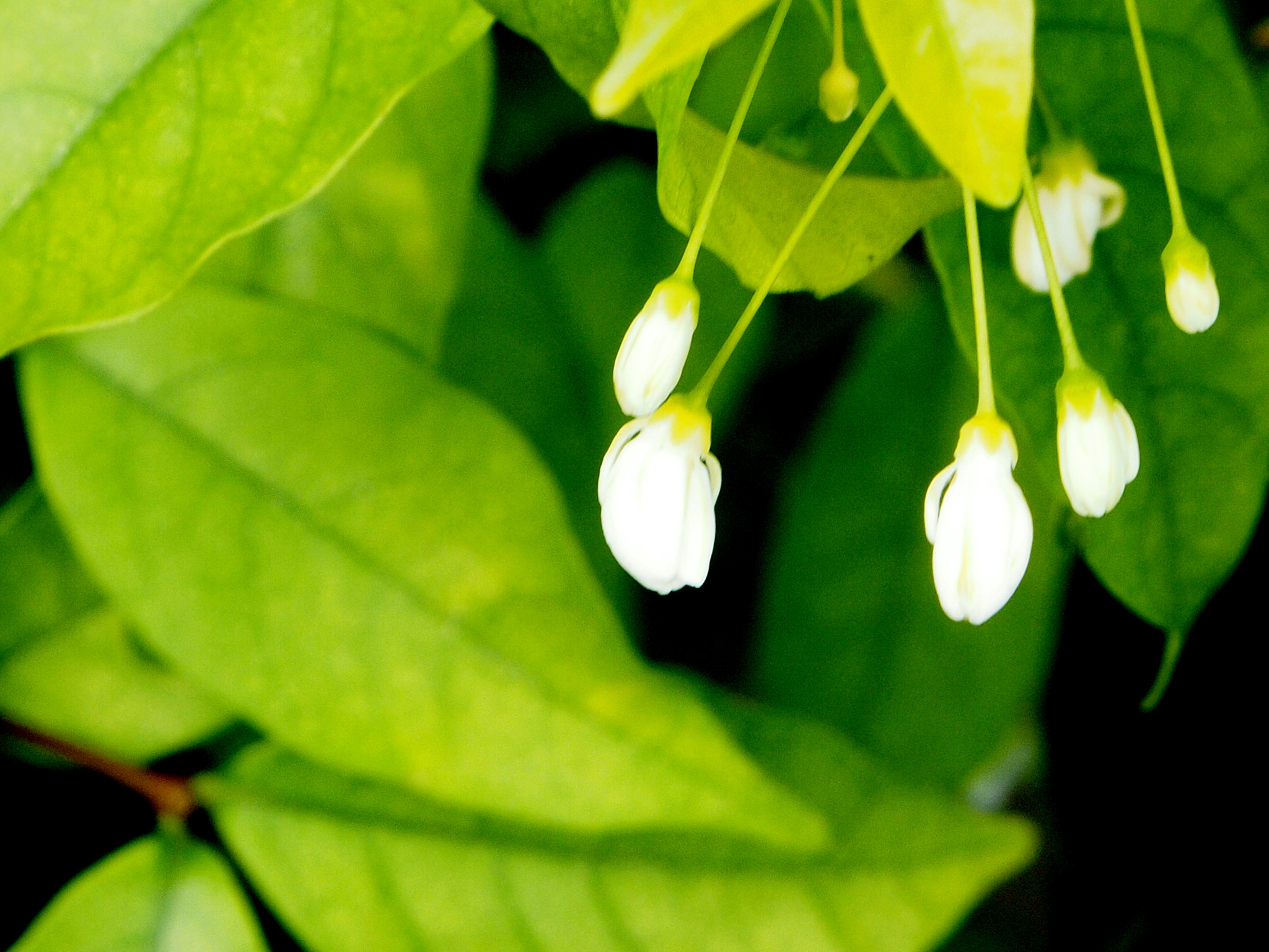 Olympus PEN E-P3 sample photo