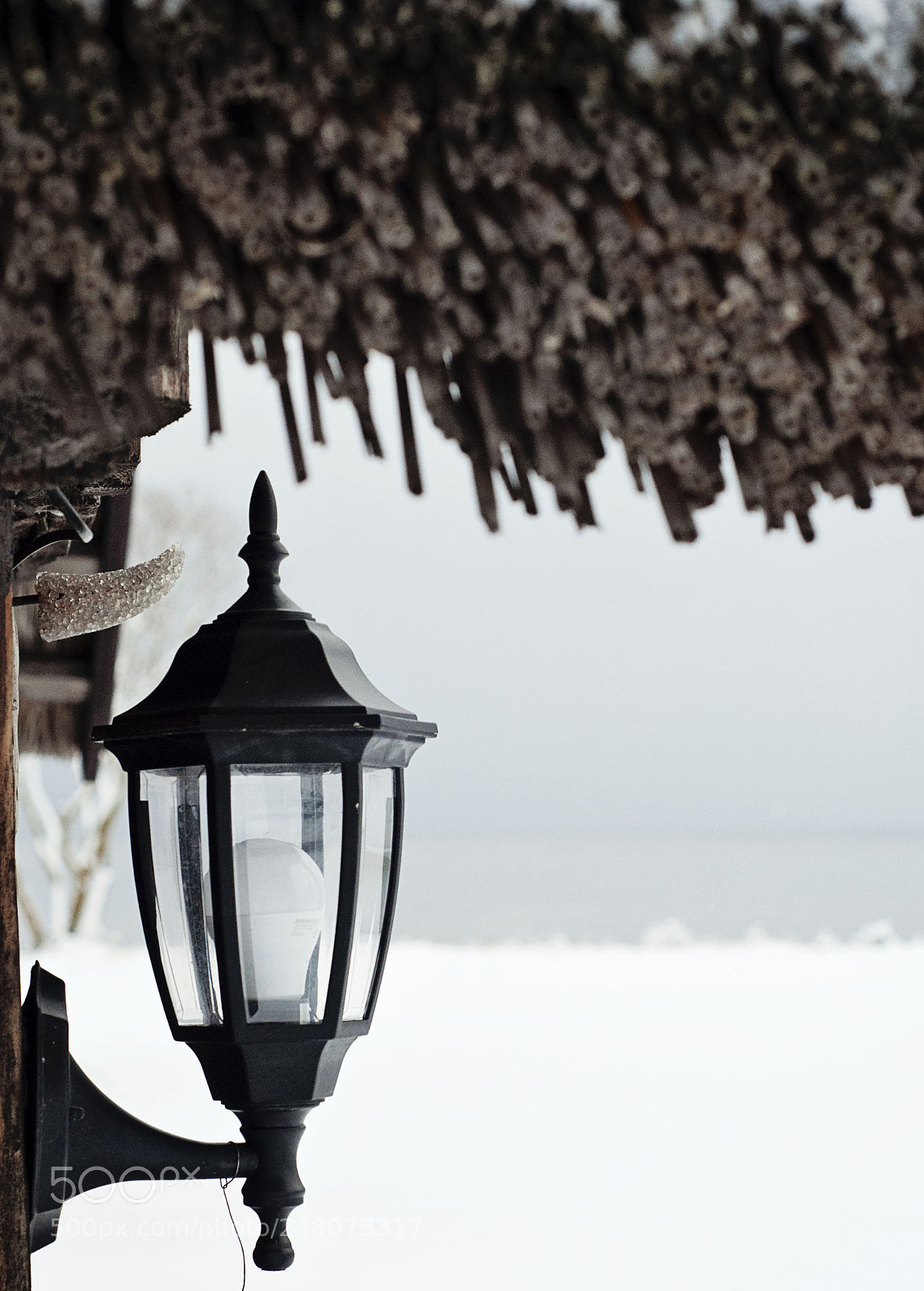 Nikon D90 sample photo. Solitude photography