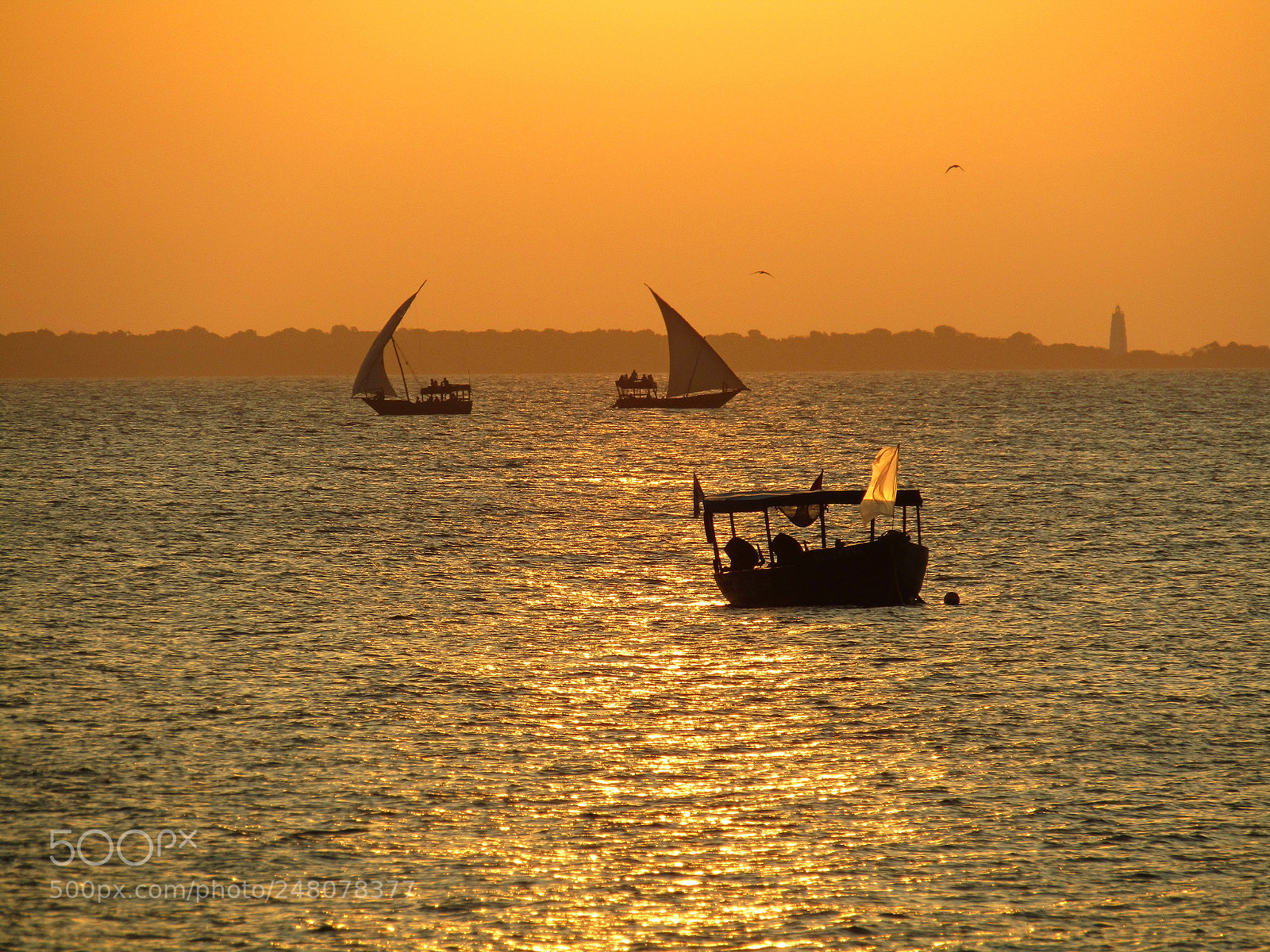 Canon PowerShot SX410 IS sample photo. Sunset, zanzibar photography
