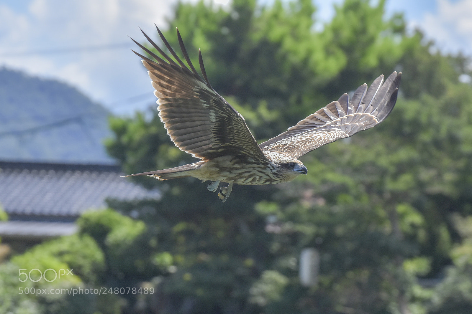Nikon D7200 sample photo. Dtm photography