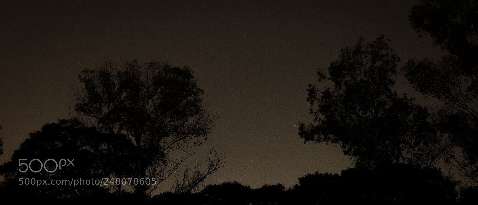 Canon EOS 1200D (EOS Rebel T5 / EOS Kiss X70 / EOS Hi) sample photo. Noche photography