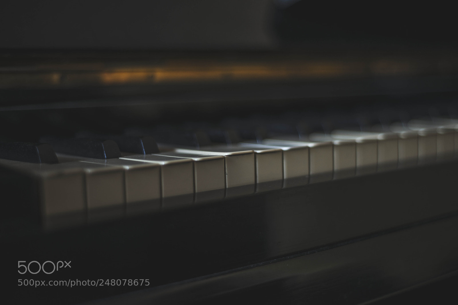 Nikon D800 sample photo. Music photography