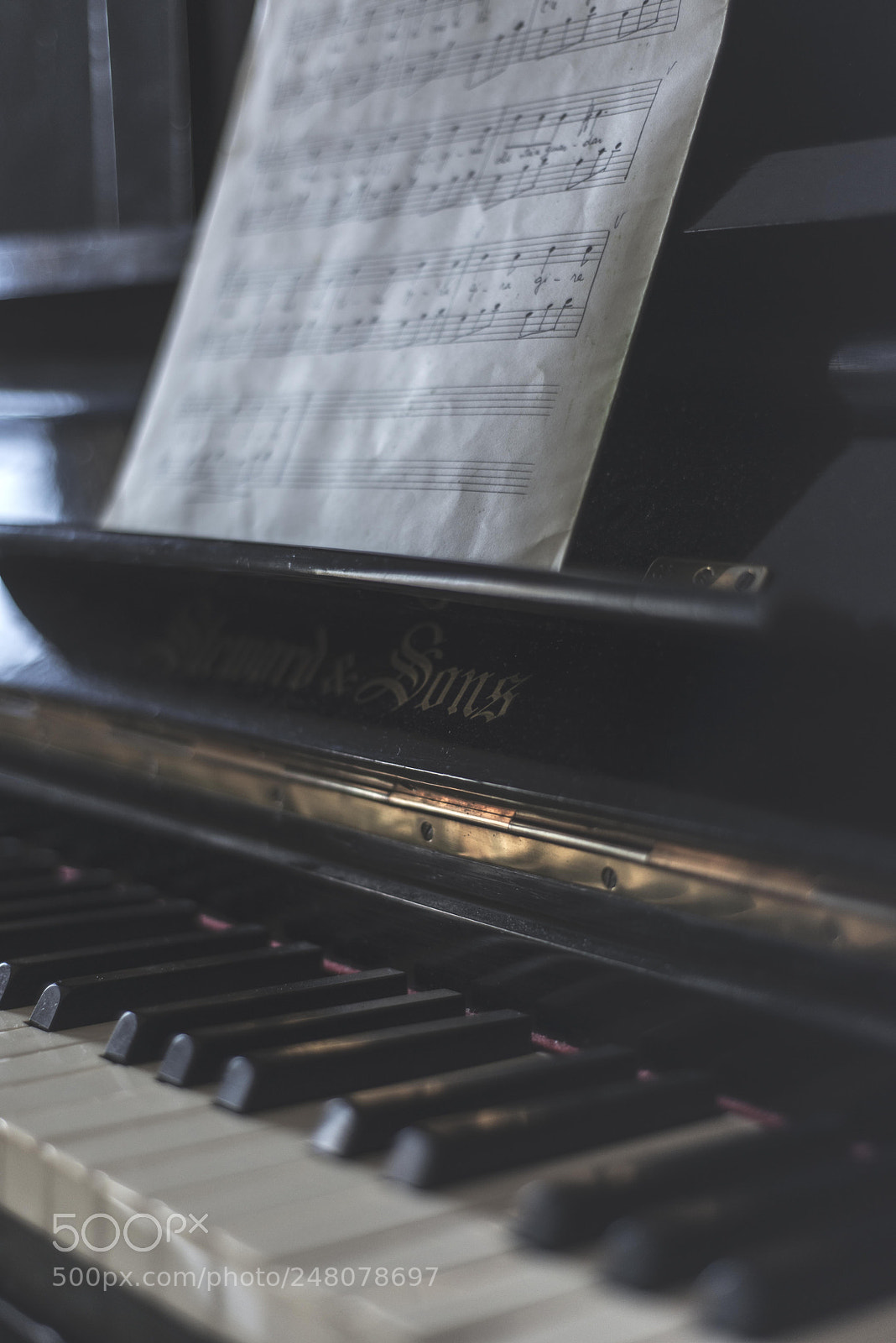 Nikon D800 sample photo. Music photography