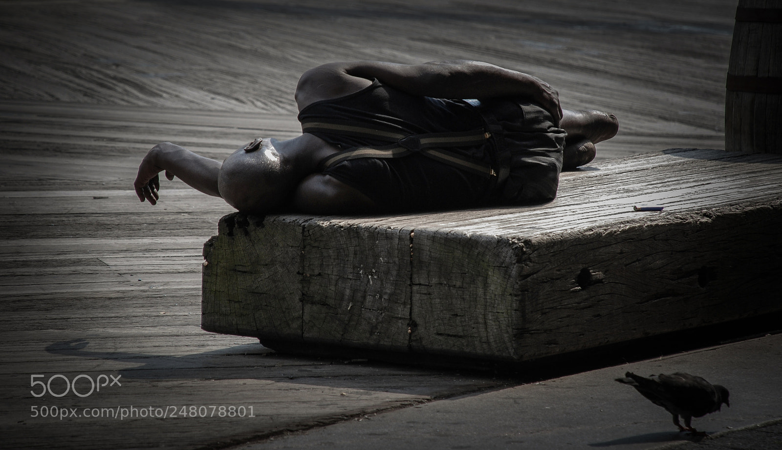 Nikon D80 sample photo. Resting photography