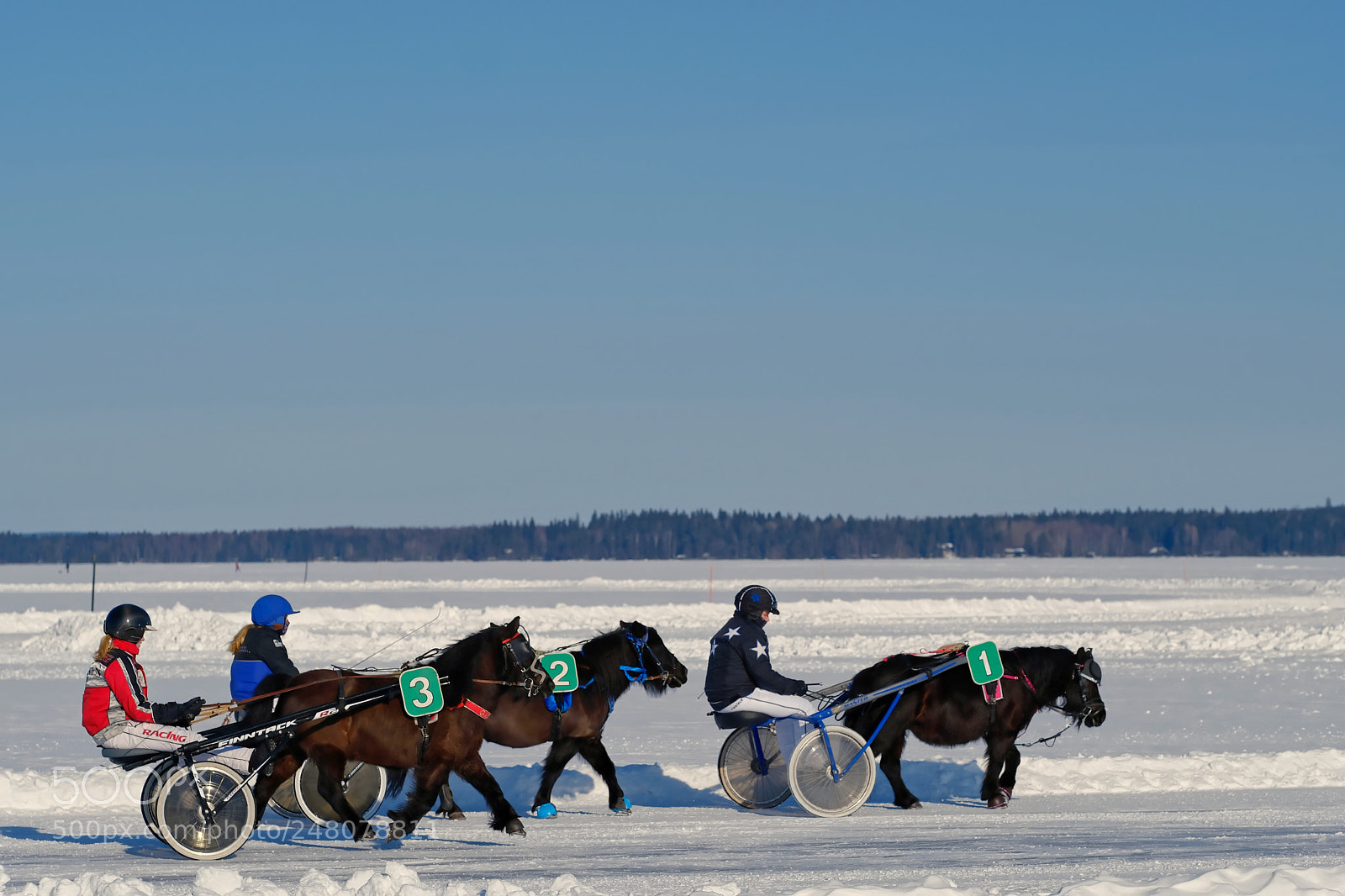 Fujifilm X-T2 sample photo. Horse race on the photography