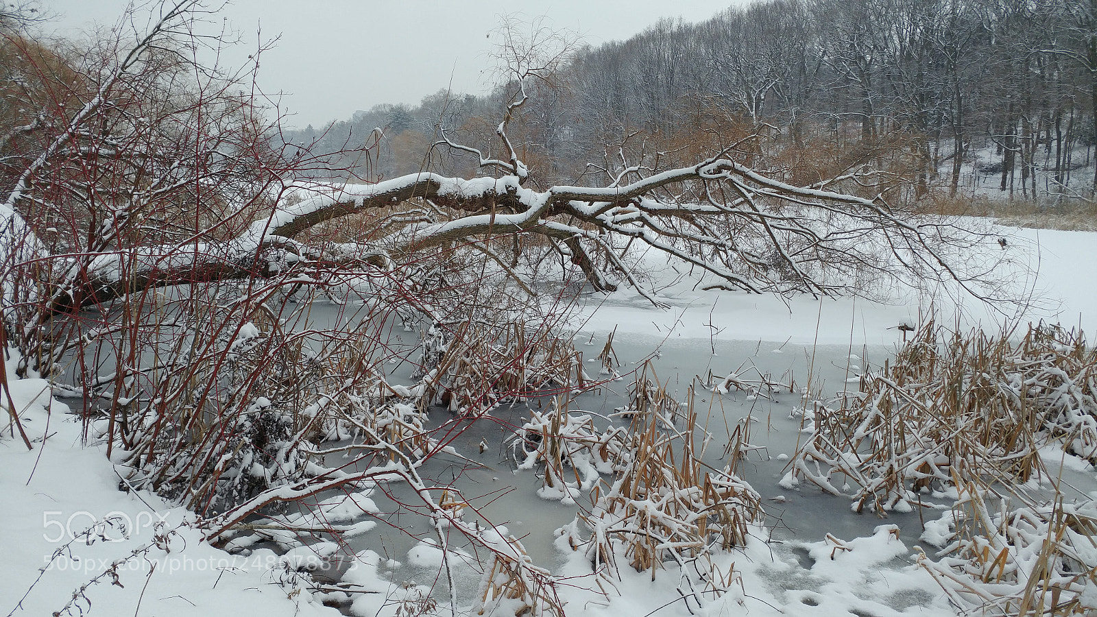 LG G5 sample photo. Hp1 winter photography