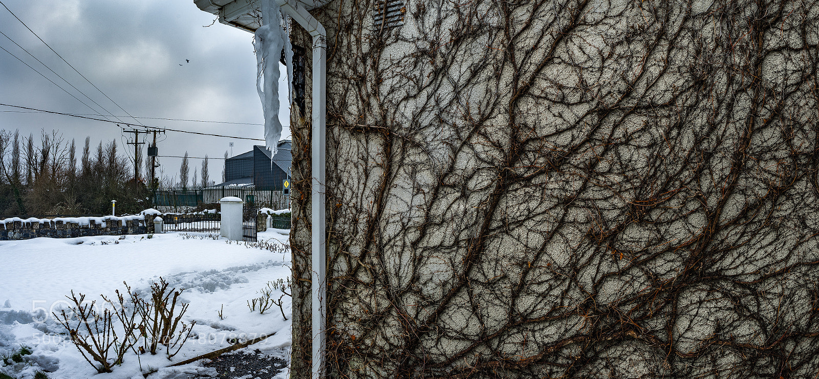 Sony a7R sample photo. Icicle photography