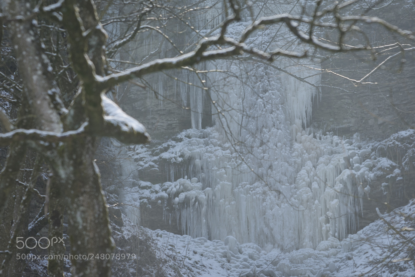 Nikon D7100 sample photo. The return: ice age photography