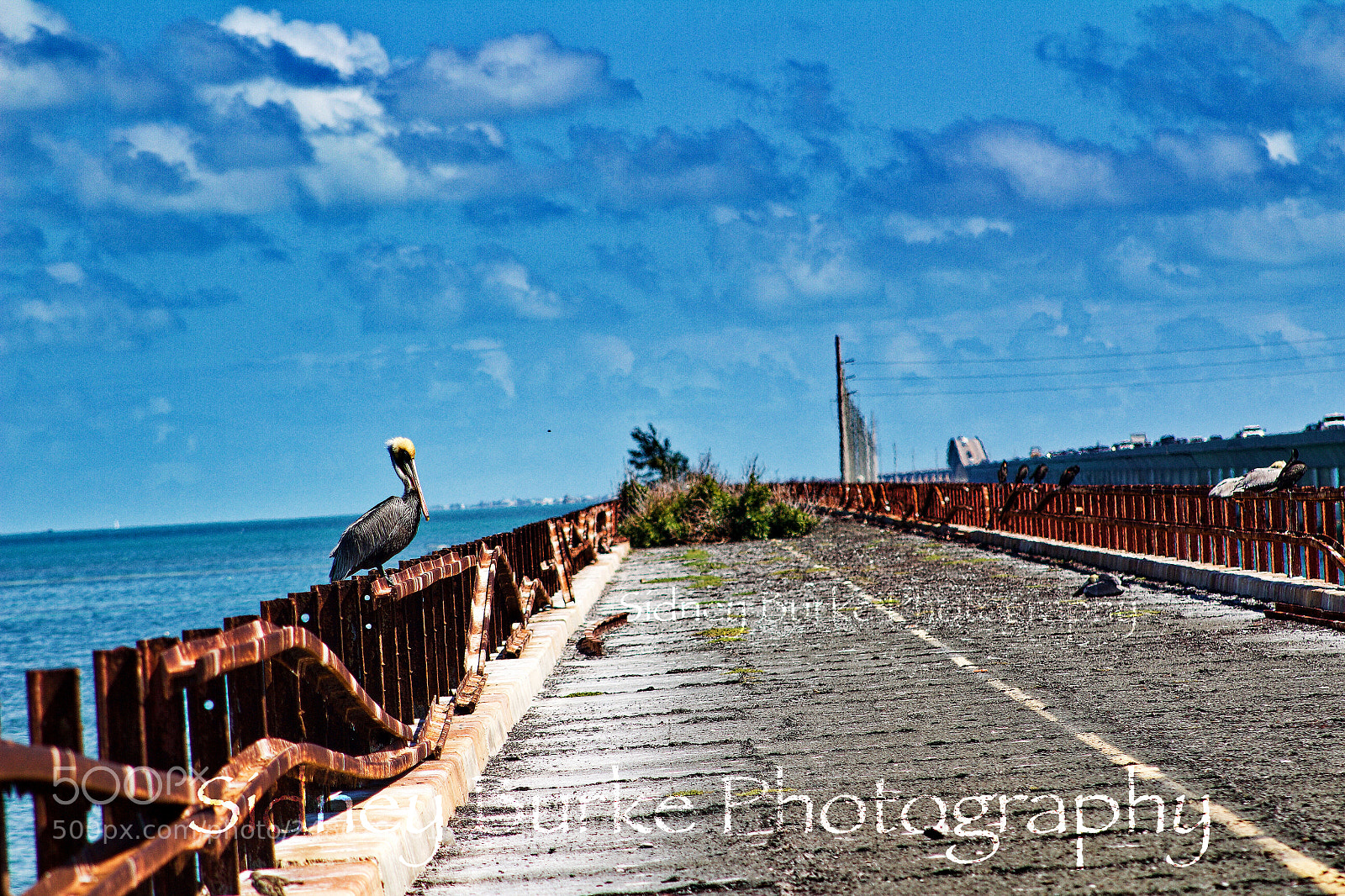 Canon EOS 1300D (EOS Rebel T6 / EOS Kiss X80) sample photo. The path to paradise photography