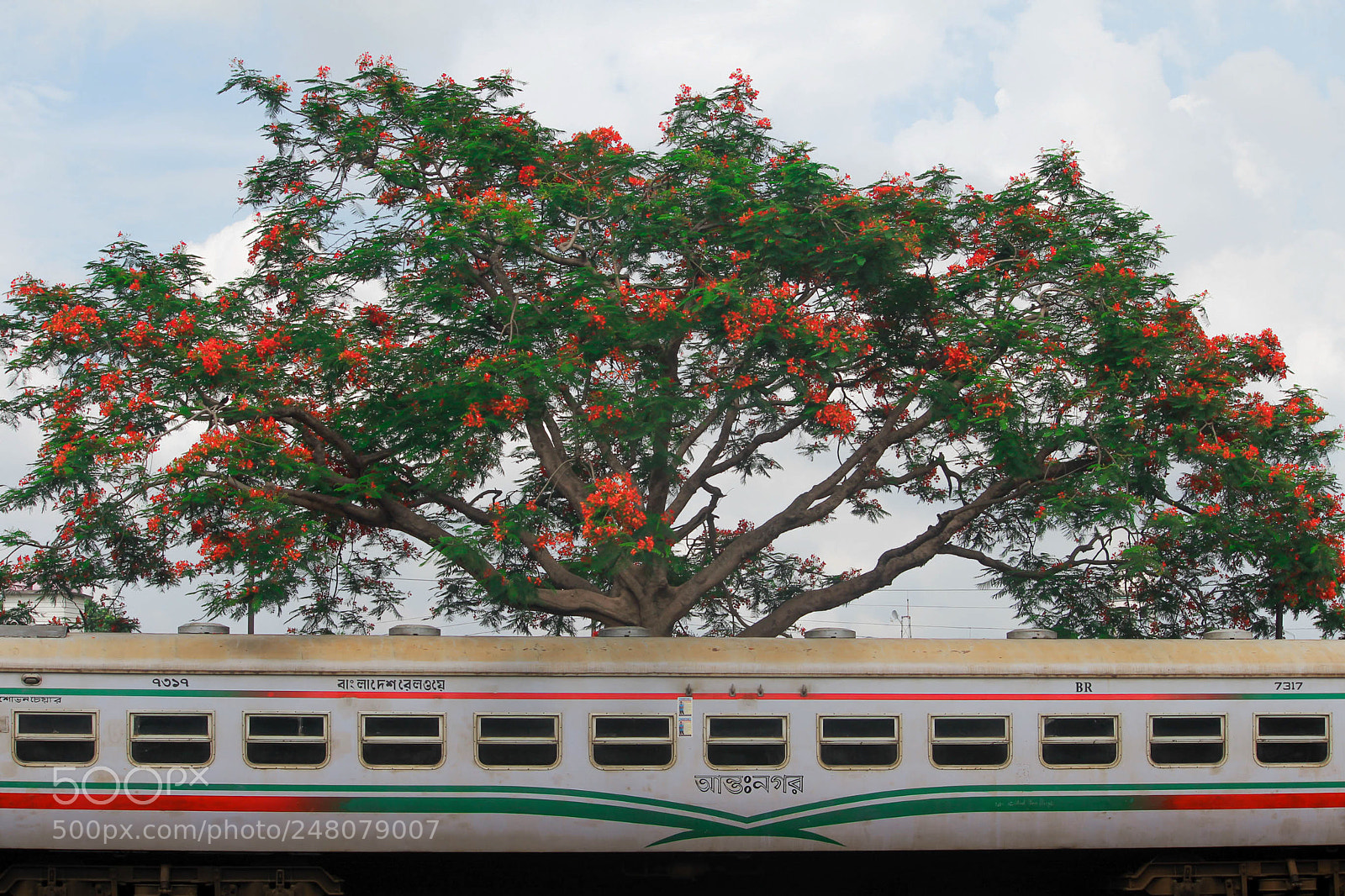 Canon EOS 1200D (EOS Rebel T5 / EOS Kiss X70 / EOS Hi) sample photo. Rail coach under the photography