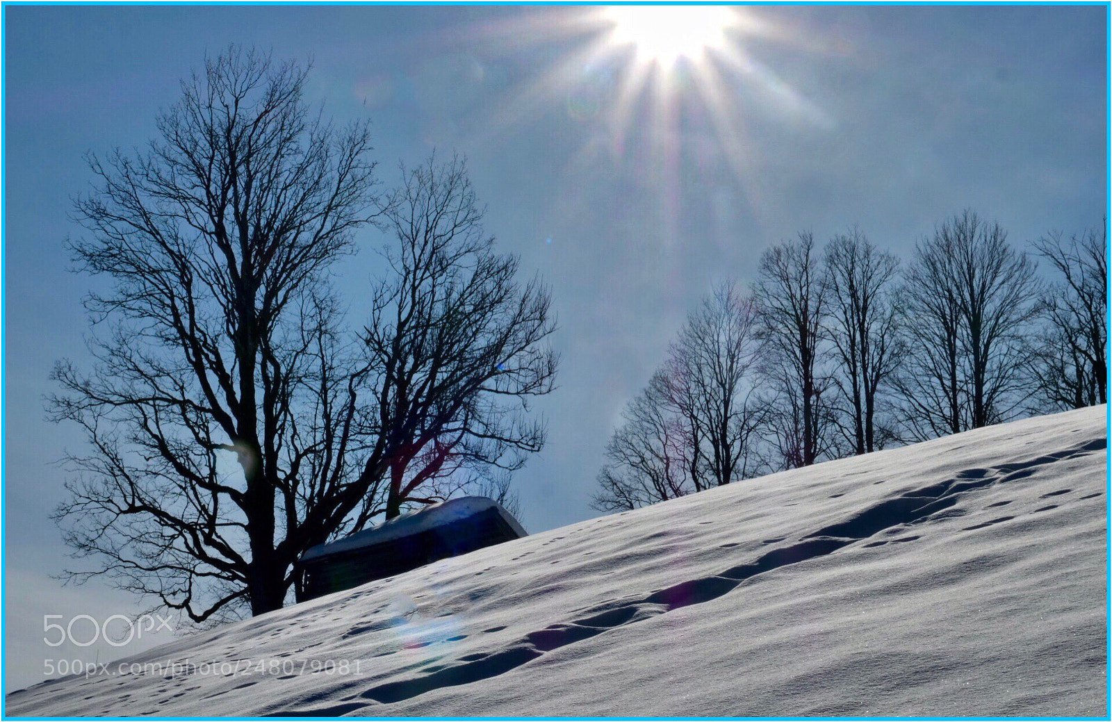 Panasonic Lumix DC-G9 sample photo. Path to the sun .... photography