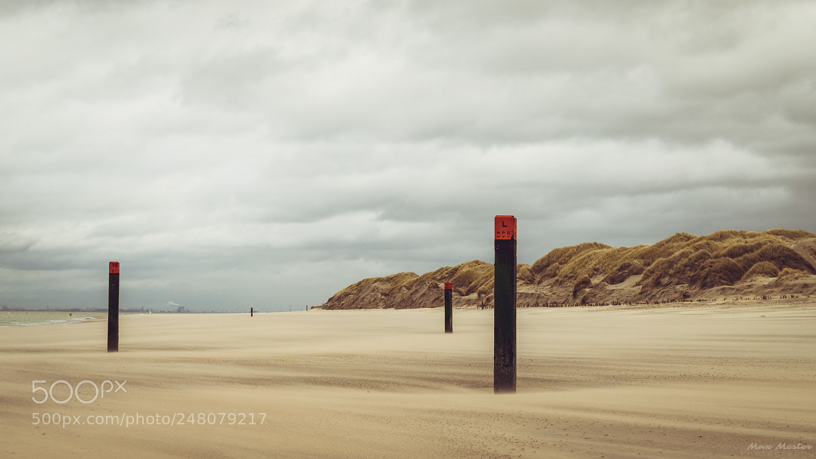 Canon EOS 6D Mark II sample photo. Zeeland beach photography