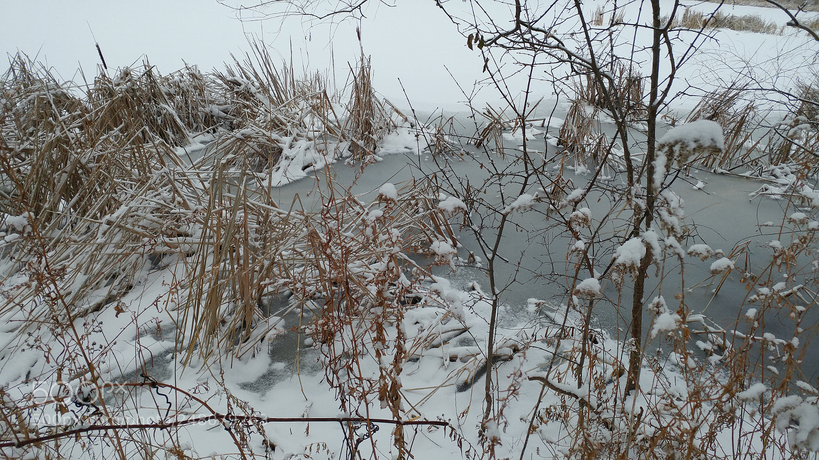 LG G5 sample photo. Hp3 - winter photography