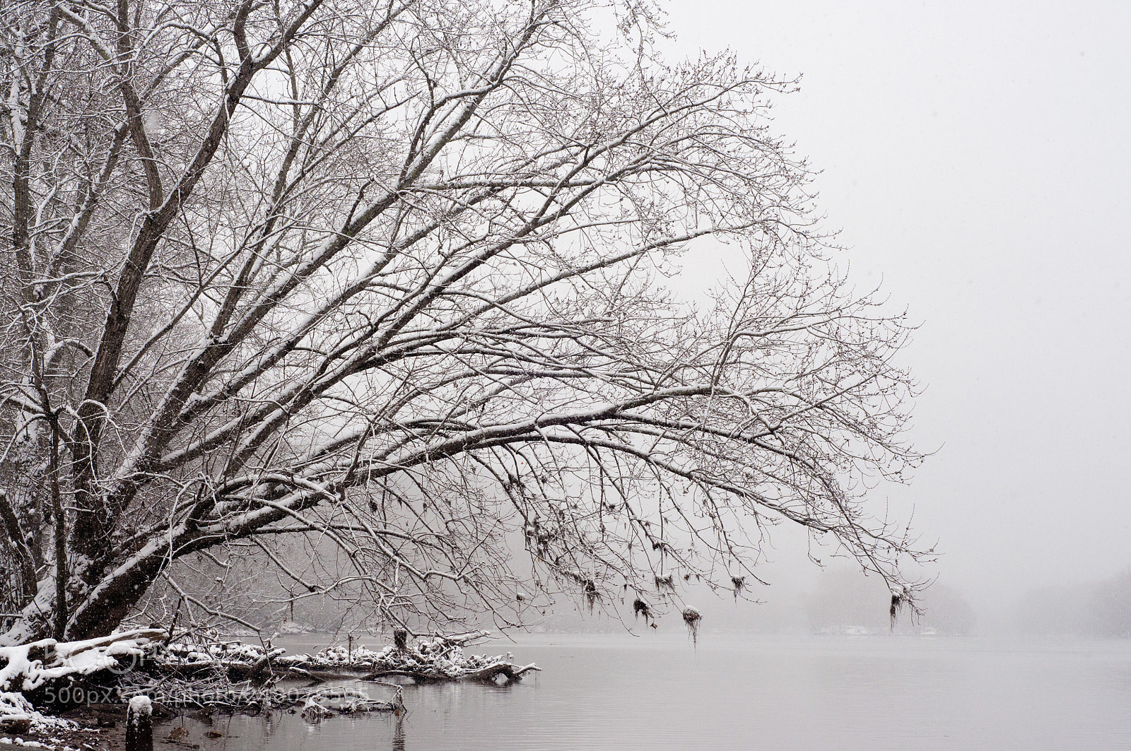 Nikon D90 sample photo. Snowy new river photography