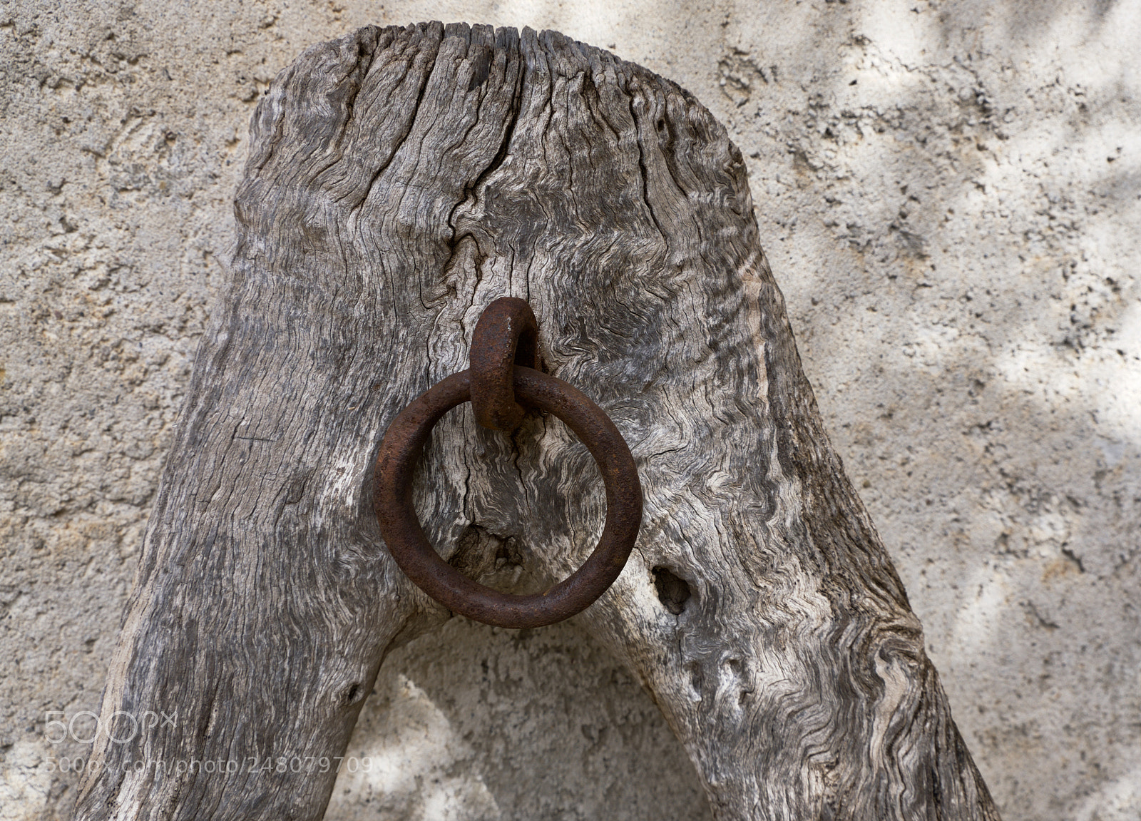 Fujifilm X-T20 sample photo. Fullsizeoutput photography