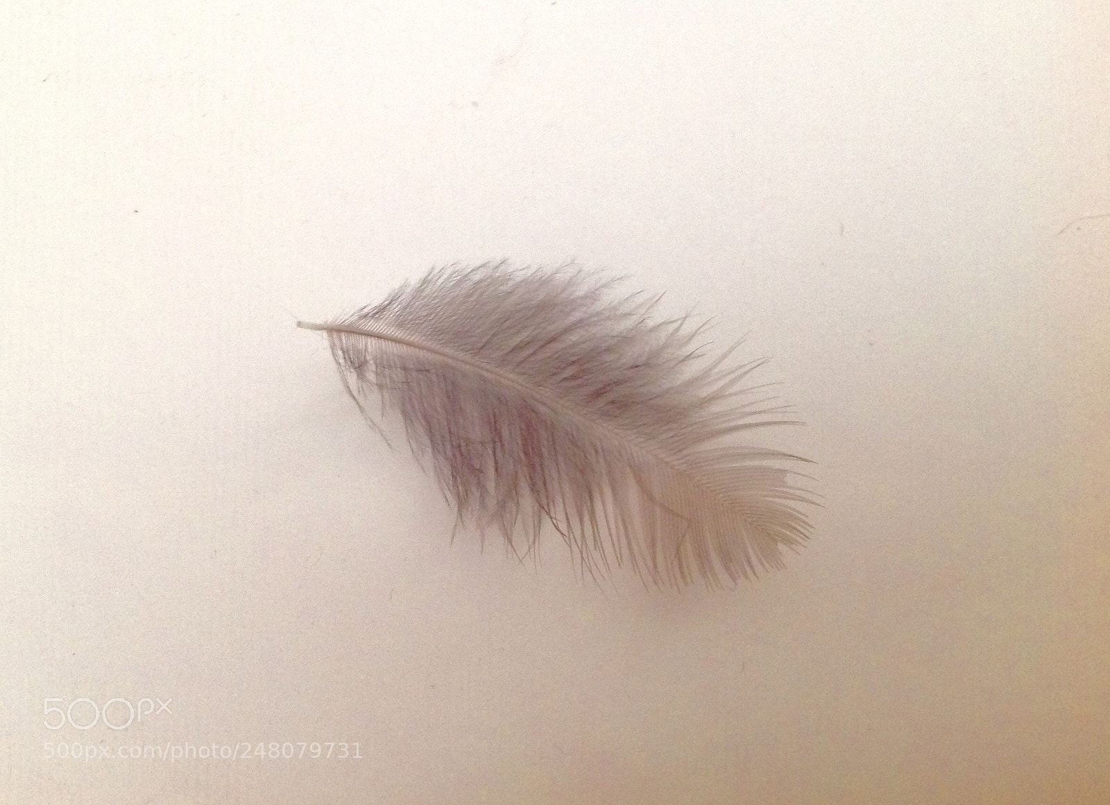 Apple iPad sample photo. Leggerezza photography