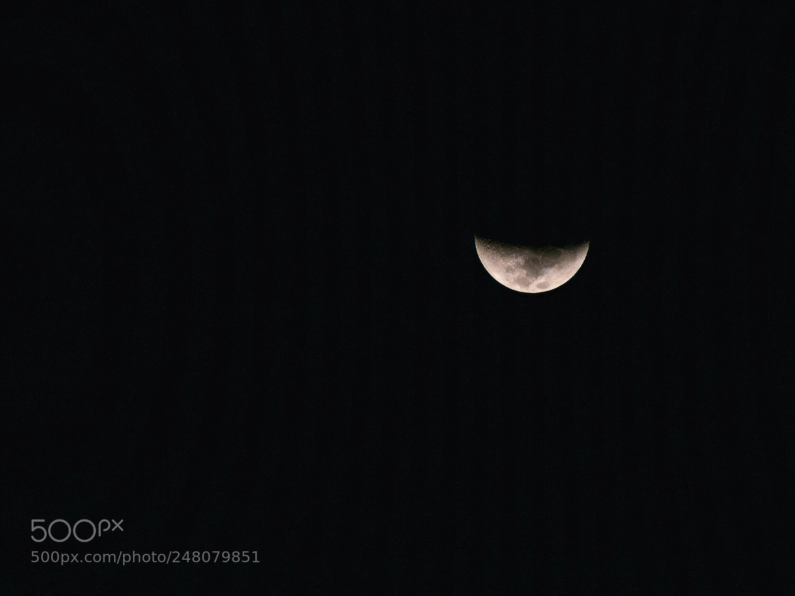 Nikon D5300 sample photo. Untitled photography