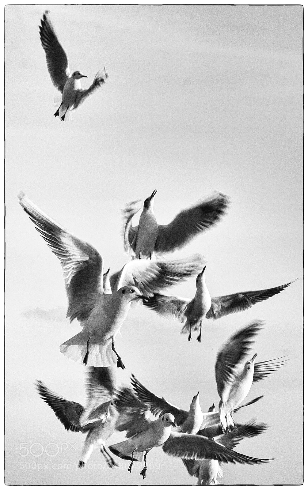 Canon EOS 5D sample photo. Untitled photography
